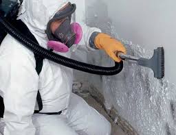 Forensic Mold Investigation in Milford, UT